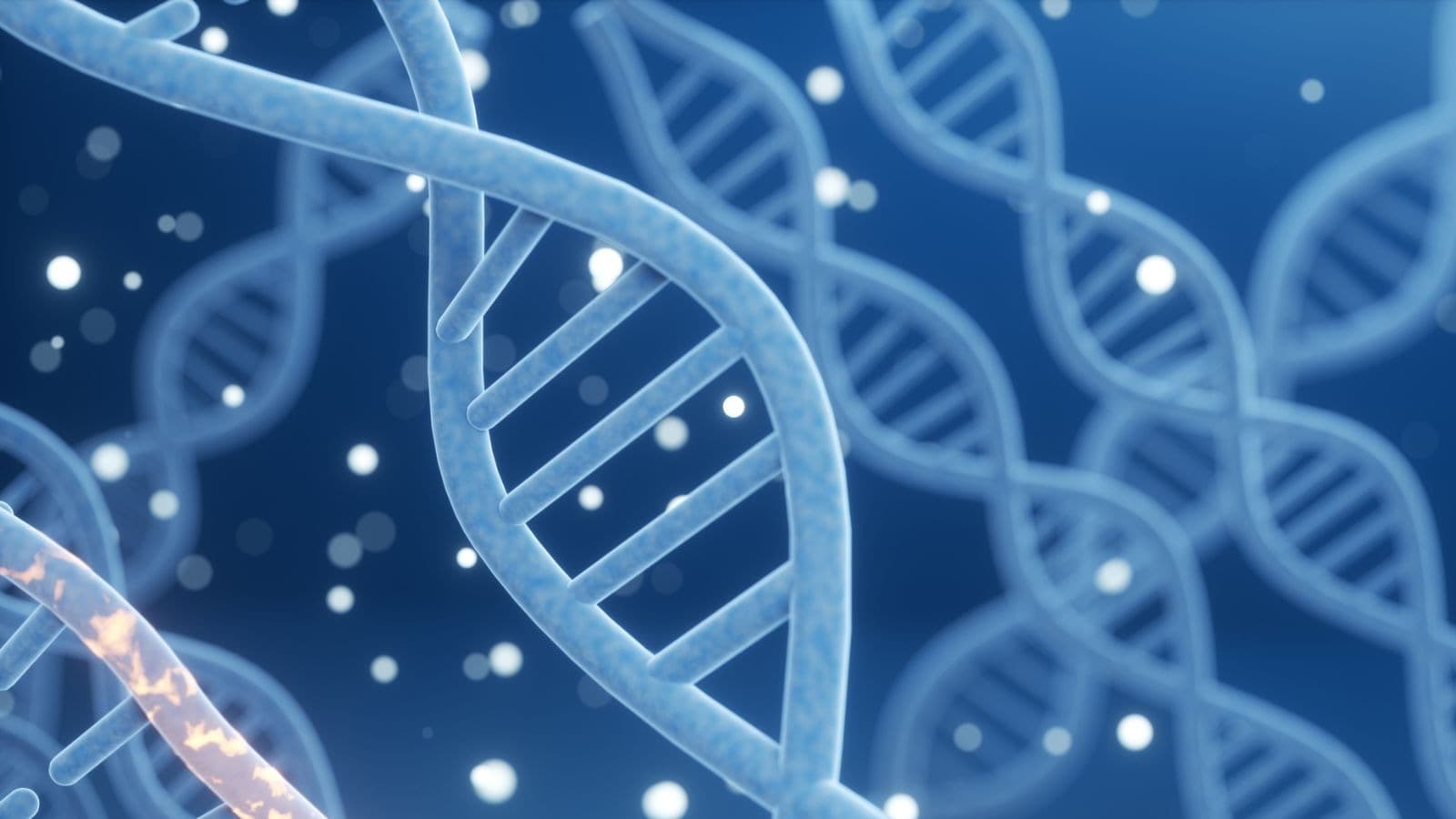 New Study Finds Nearly Everyone Carries High Genetic Risk